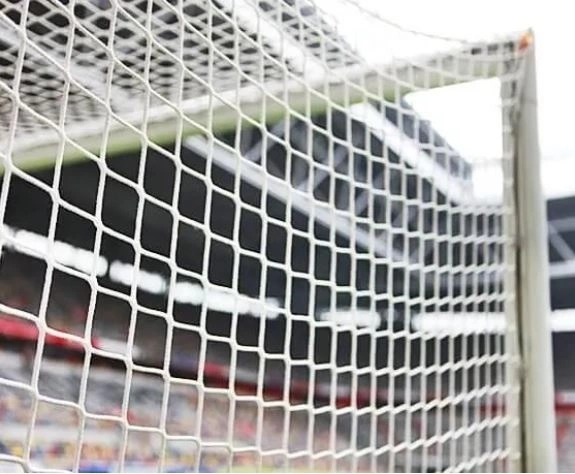 Siatka na bramkę 7,32 x 2,44 m 4 mm Biała (100112)