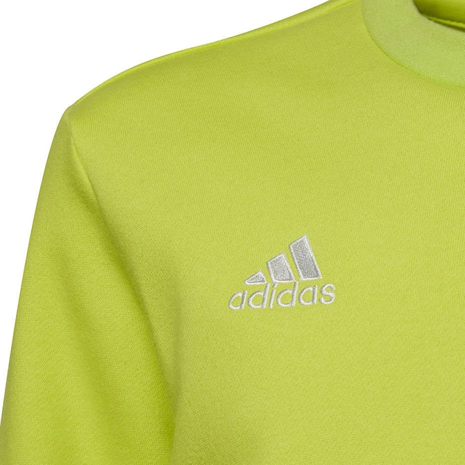 Bluza Dziecięca Bawełniana Adidas Entrada 22 Sweat Top Limonkowa (HC5043)