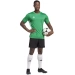 Męska Koszulka Sportowa Adidas Tabela 23 Jersey Zielona (IA9147)