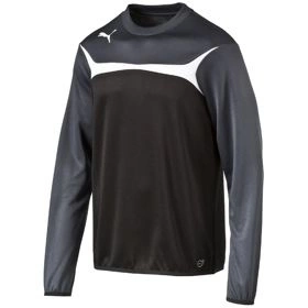 Bluza Treningowa Puma Esito 3 Training Sweat (653967-03)