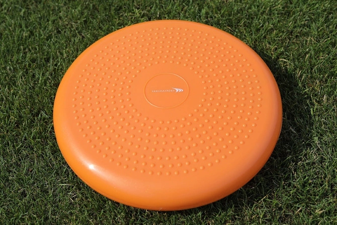 Beret stabilizacyjny, dysk pompowany (100071)