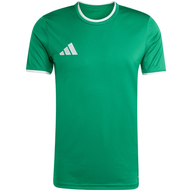 Koszulka męska adidas Entrada 26 Jersey zielona JZ2503