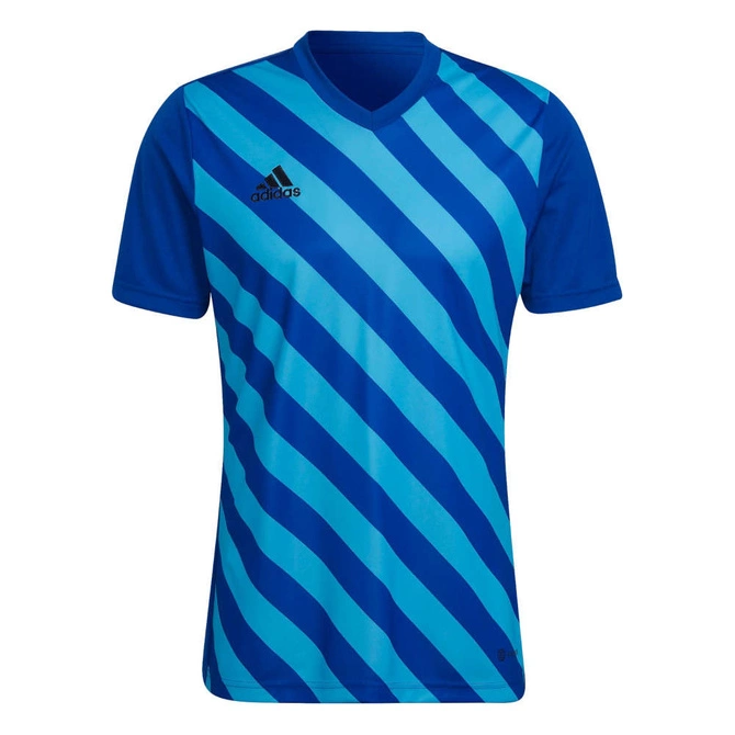 Męska Koszulka Piłkarska Adidas Entrada 22 GFX Niebieska (HF0116)