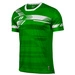 Koszulka Meczowa Zina La Liga Senior Zielona (A02564)
