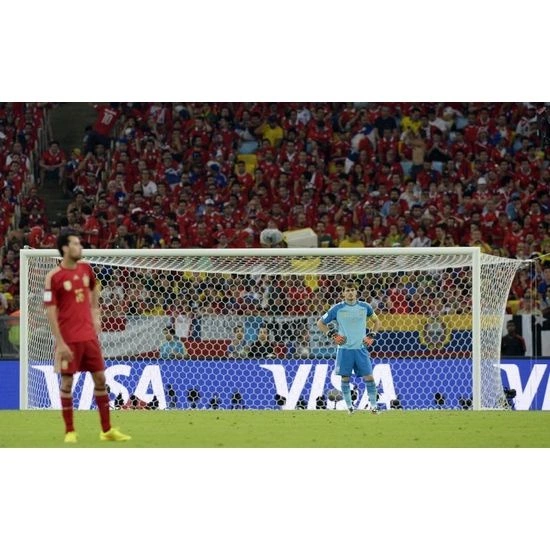 Siatka na bramkę 7,33 x 2,44 Plaster miodu 4 mm