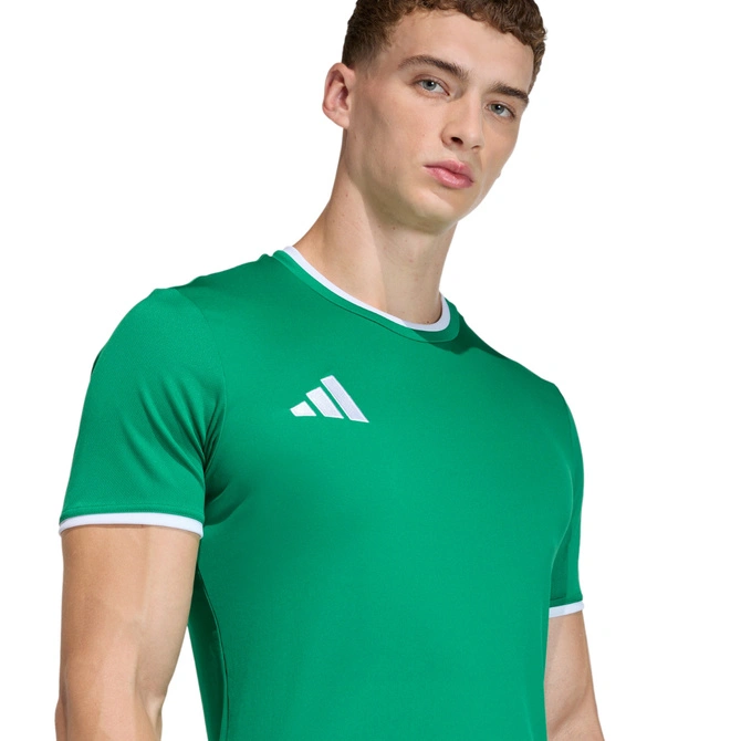 Koszulka męska adidas Entrada 26 Jersey zielona JZ2503