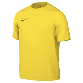 Męska Koszulka Piłkarska Nike Park VIII żółta HV8173 719