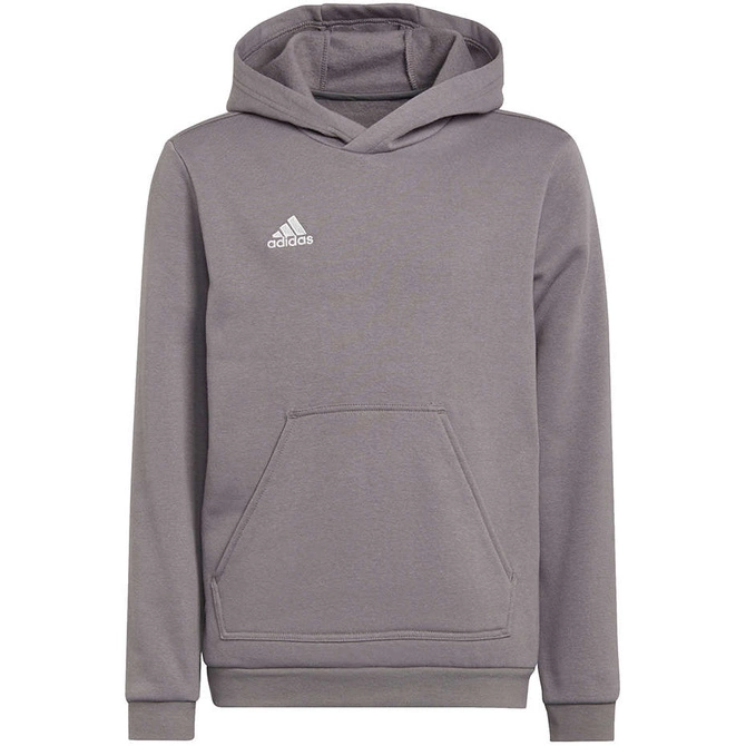 Dziecięca Bluza Bawełniana z Kapturem Adidas Entrada 22 Hoody Szara (H57515)