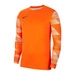 Bluza Bramkarska Nike Nike Dri-FIT Park IV (CJ6066-819)