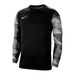 Bluza Bramkarska Nike Nike Dri-FIT Park IV (CJ6066-010)