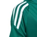 Koszulka dla dzieci adidas Tiro 24 Jersey zielona IS1028