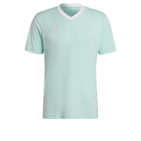 Męska Koszulka Piłkarska Adidas Entrada 22 Miętowy (HC5073)