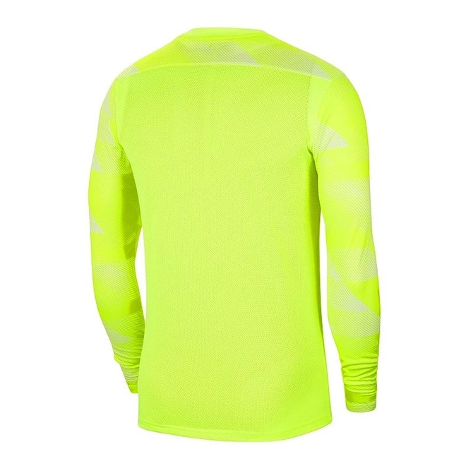 Bluza Bramkarska Nike Nike Dri-FIT Park IV (CJ6066-702)