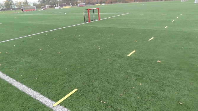 Znaczniki Pola (100188)