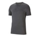Męska Koszulka Bawełniana Nike Team Club 20 Tee Grafitowa (CZ0881-071)