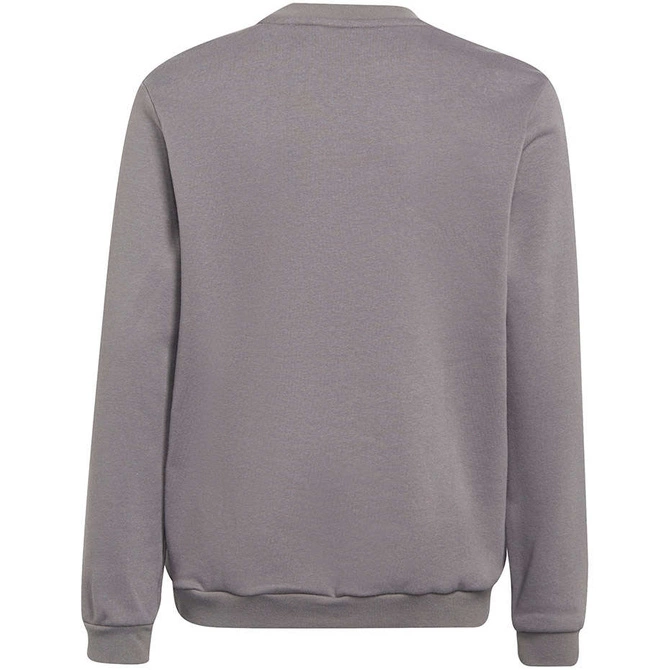 Bluza Dziecięca Bawełniana Adidas Entrada 22 Sweat Top Szara (H57477)