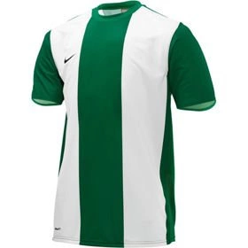 Koszulka Meczowa Nike Flash Game Jersey Forma (329366-302)