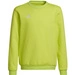 Bluza Dziecięca Bawełniana Adidas Entrada 22 Sweat Top Limonkowa (HC5043)