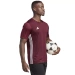 Męska Koszulka Sportowa Adidas Tabela 23 Jersey Bordowa (IB4928)