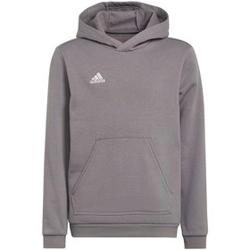 Dziecięca Bluza Bawełniana z Kapturem Adidas Entrada 22 Hoody Szara (H57515)