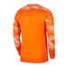 Dziecięca Bluza Bramkarska Nike Nike Dri-FIT Park IV (CJ6072-819)