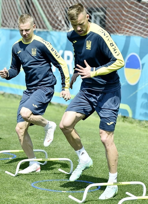 Płotek samowstający, koordynacyjny 20 cm (100177)