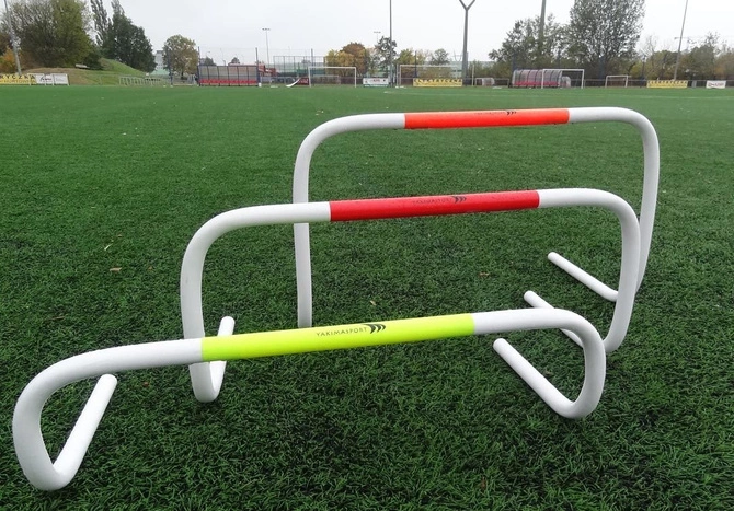 Płotek samowstający 20 cm koordynacyjny (100177)