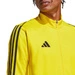 Męska Bluza Treningowa Adidas Tiro 23 League Training Top Żółta (IC7876)