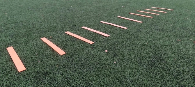 Znaczniki Pola (100188)