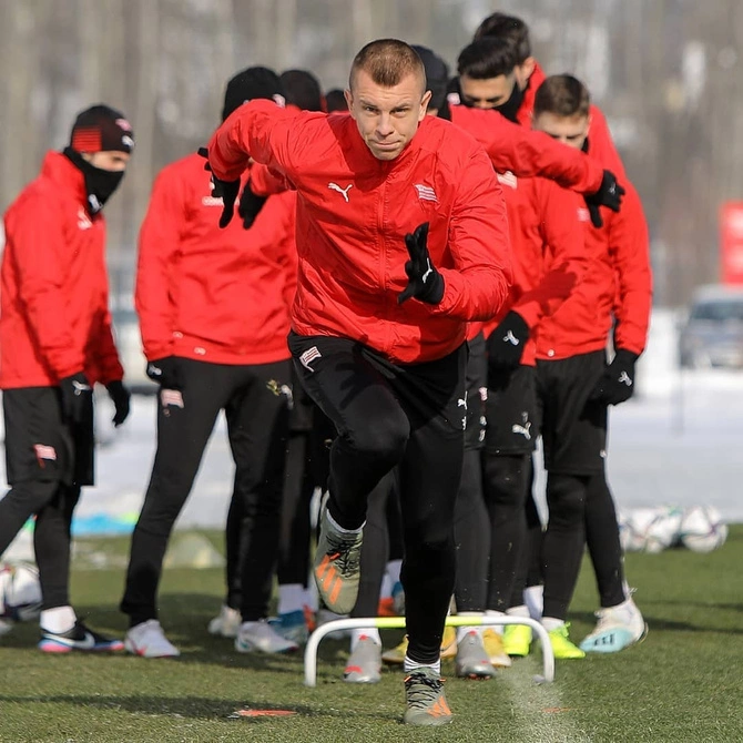 Płotek samowstający, koordynacyjny 20 cm (100177)