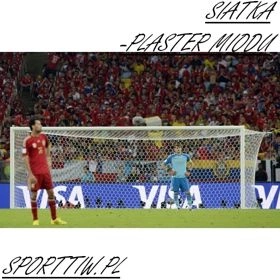 Siatka na bramkę 7,33 x 2,44 Plaster miodu 4 mm