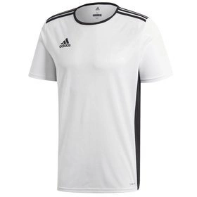 Dziecięca Koszulka Piłkarska Adidas Entrada 18 Biała (CF1044)