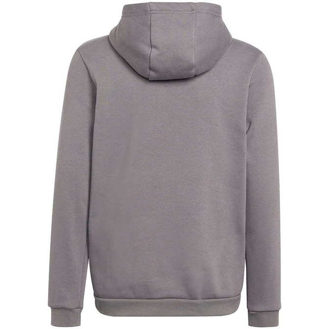 Dziecięca Bluza Bawełniana z Kapturem Adidas Entrada 22 Hoody Szara (H57515)