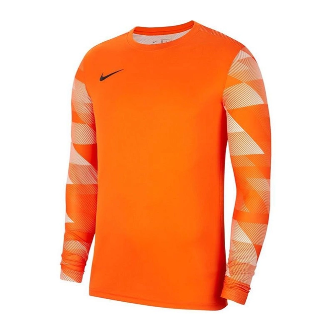 Bluza Bramkarska Nike Nike Dri-FIT Park IV (CJ6066-819)