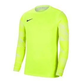 Bluza Bramkarska Nike Nike Dri-FIT Park IV (CJ6066-702)