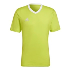 Męska Koszulka Piłkarska Adidas Entrada 22 Seledynowy (HC5077)