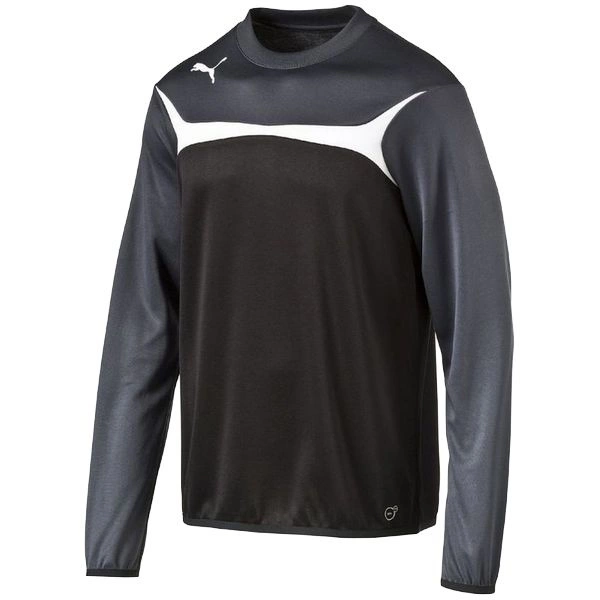 Bluza Treningowa Puma Esito 3 Training Sweat (653967-03)