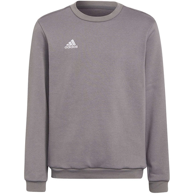 Bluza Dziecięca Bawełniana Adidas Entrada 22 Sweat Top Szara (H57477)