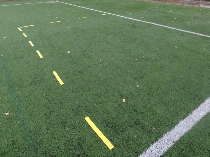 Znaczniki Pola (100188)