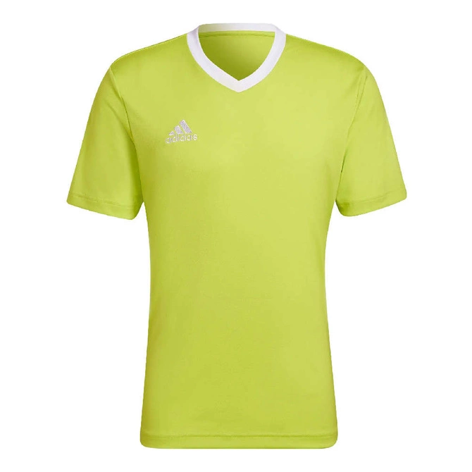 Męska Koszulka Piłkarska Adidas Entrada 22 Seledynowy (HC5077)